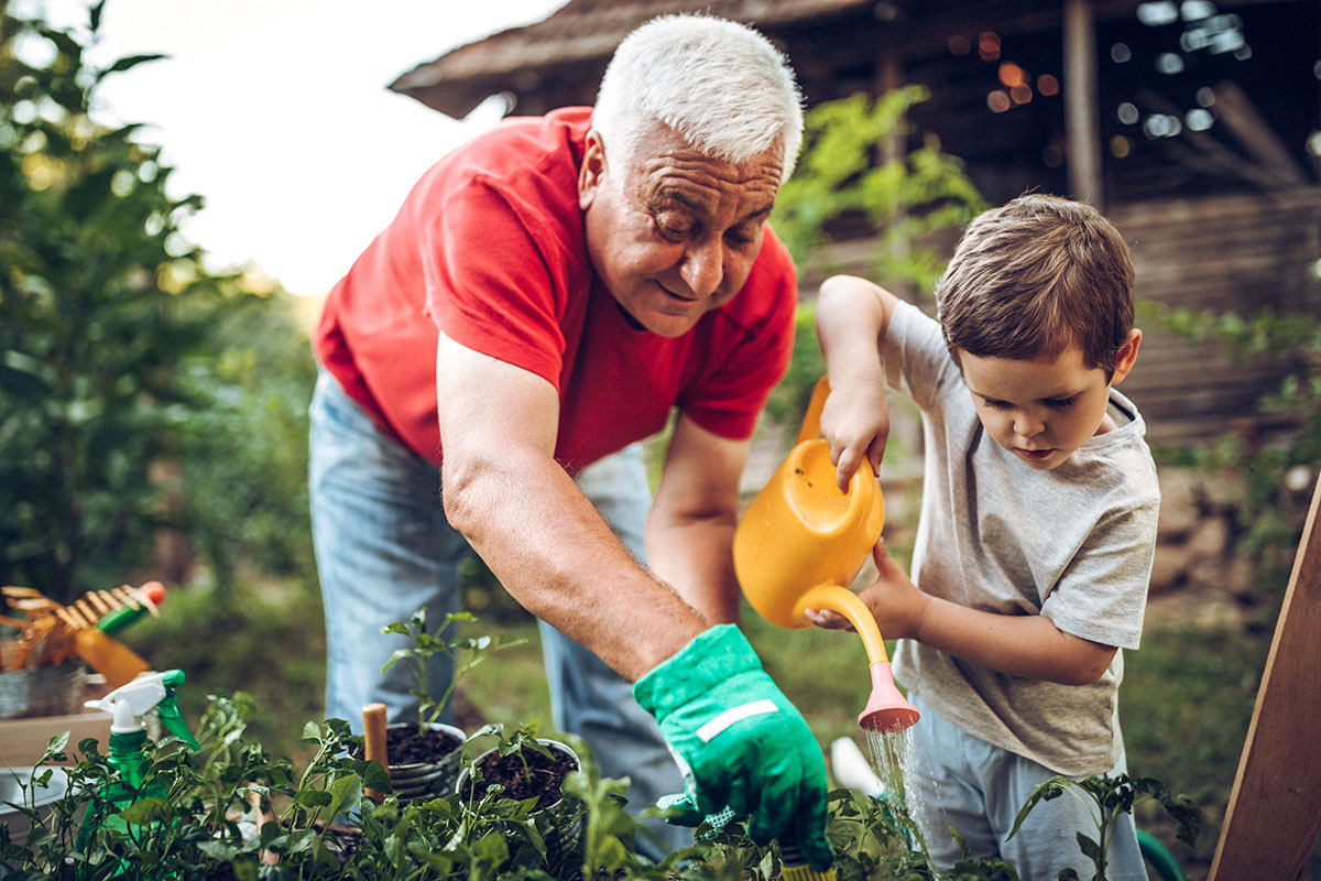 elderly man gardening with young grandson