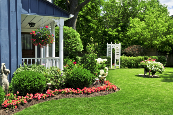 lush green backyard garden in the springtime