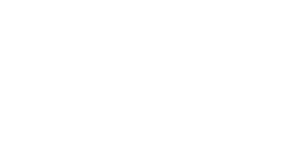 Elder Options Logo
